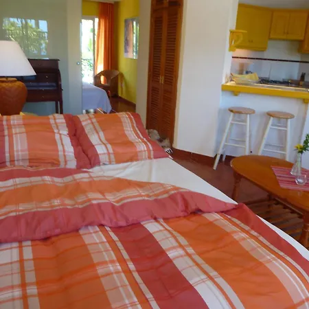 Typ B Apartment Puerto de la Cruz (Tenerife)