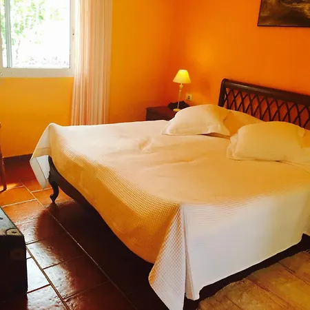 Apartment Schoene Mit Garten In Puerto de la Cruz (Tenerife)